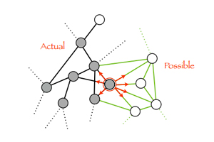 adjacent-possible (1)